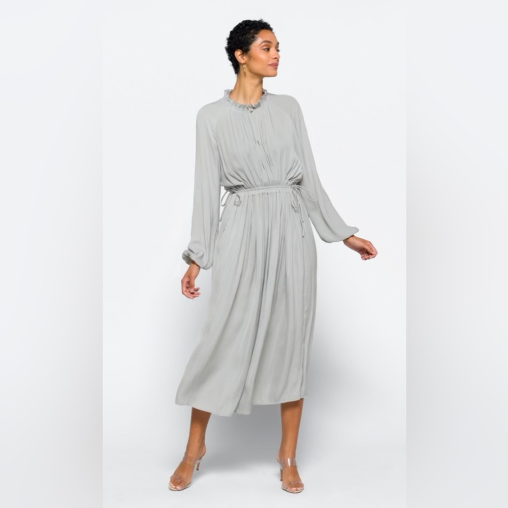 MODERN CITIZEN Magdalena Long Sleeve Plisse Dress - NWOT